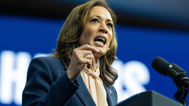 KAMALA-HARRIS-ETATS-UNIS-shutterstock