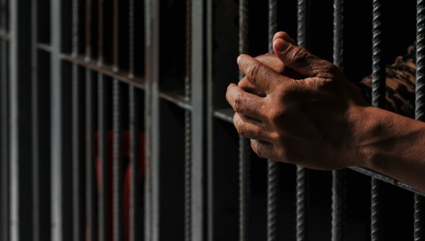 Daily Item image #10