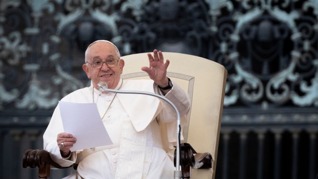 Pope greets the faithful