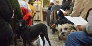 La bénédiction des animaux de compagnie, une manière de se rapprocher de Dieu ?