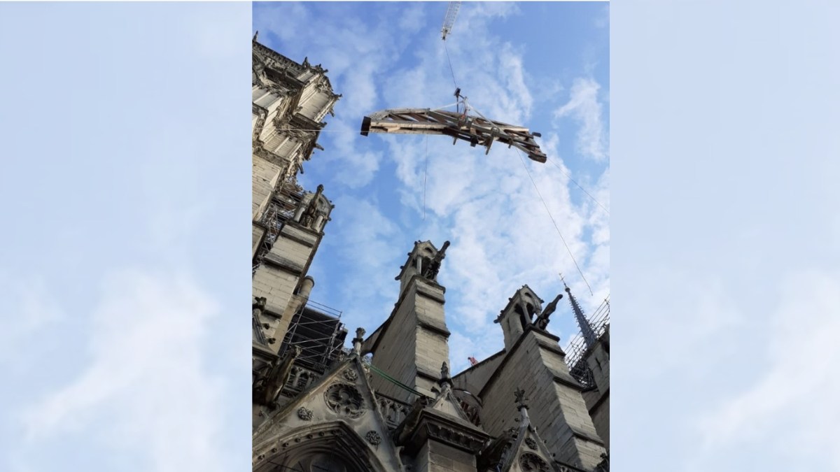 notre dame de paris cintres bois