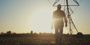 Ces vérités qui peuvent réconcilier la ville et le monde paysan