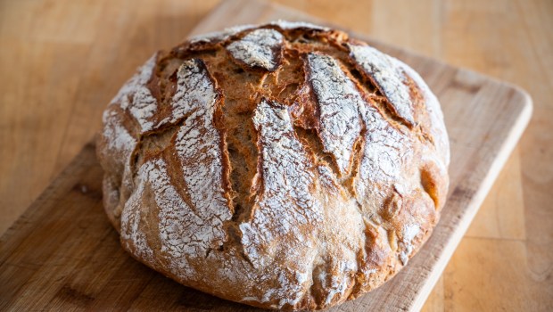 PAIN-NOURRITURE-shutterstock