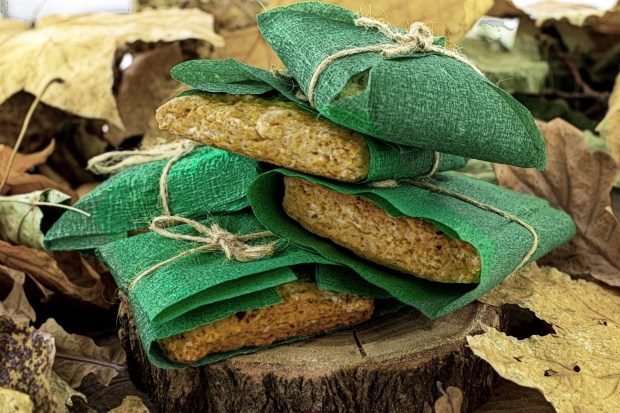 elven bread lord of the rings