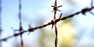 La liberté n’est plus aimée, veillée d’armes en Occident