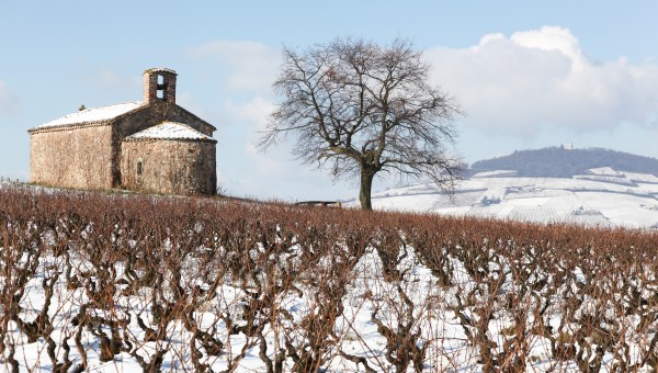 CHAPELLE-SAINT-PIERRE-BEAUJOLAIS-shutterstock