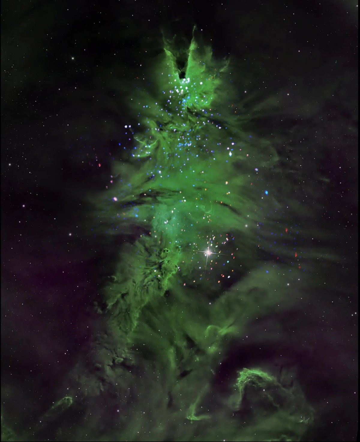 The "Christmas tree" cluster, a.k.a. NGC 2264