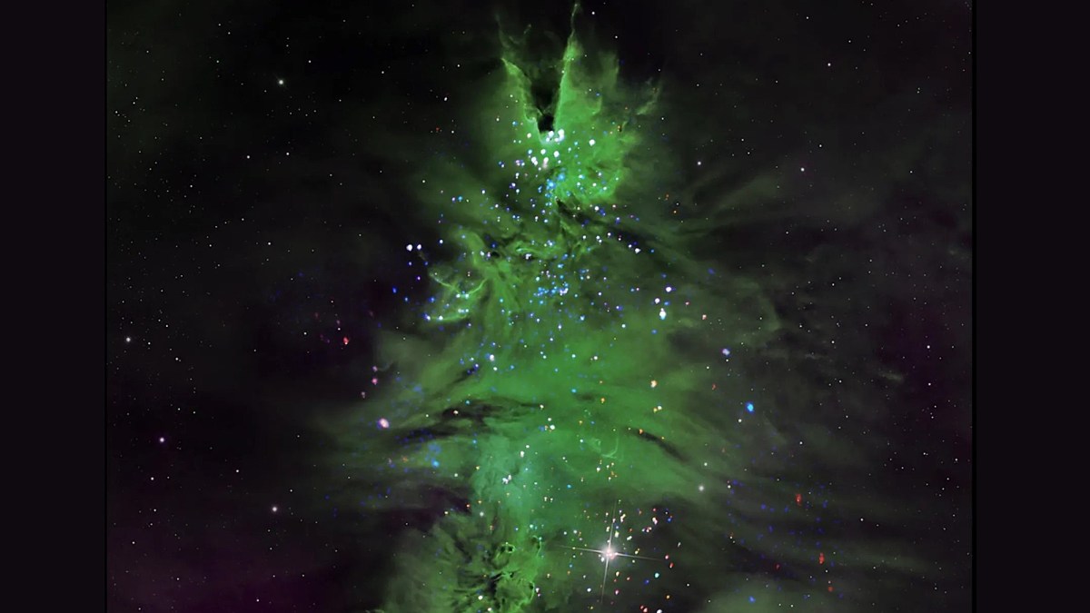 "Christmas Tree" cluster