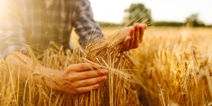 Voici l’un des premiers métiers évoqués dans la Bible