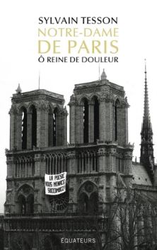 NOTRE-DAME-DE-PARIS-LIVRE-SYLVAIN-TESSON