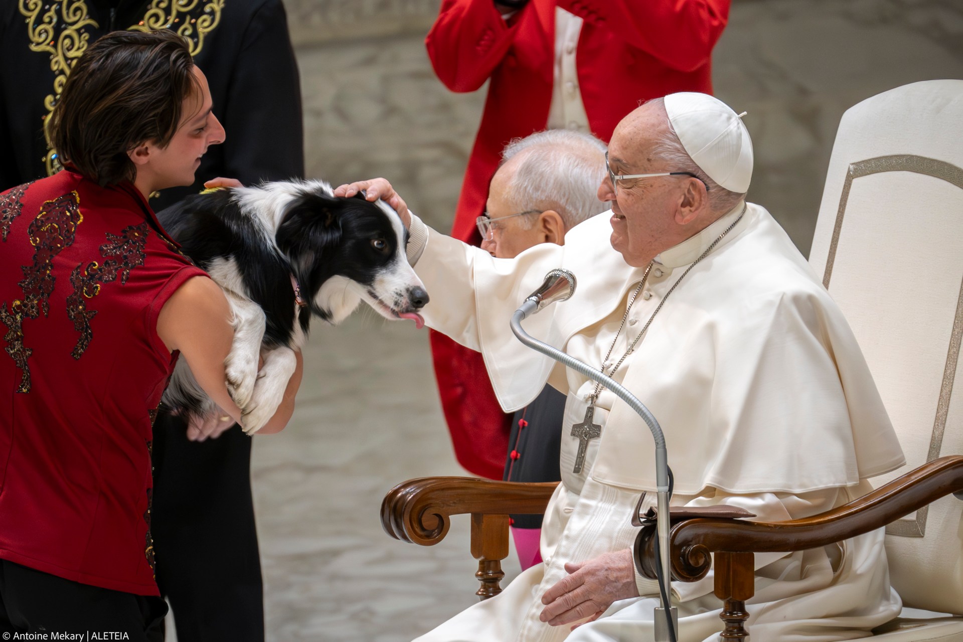 Pope Francis pets a dog during a performance of Rony Roller Circus artists