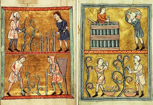 Weinbau_-_Psalter_1180