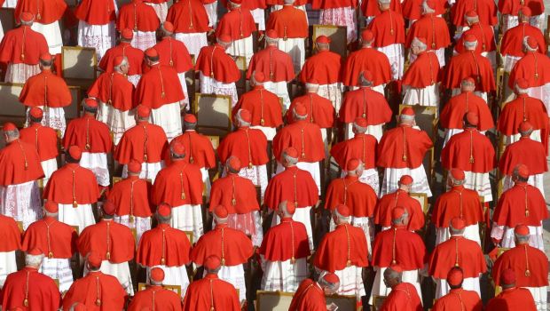 CARDINAUX-DE-DOS-ROUGE-SHUTTERSTOCK