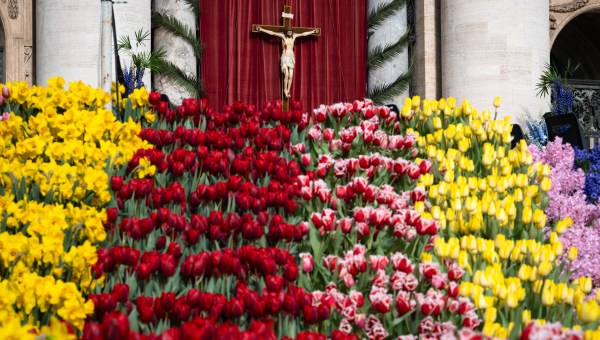 Corner Item Image - [EN IMAGES] Un éblouissant parterre de fleurs Place Saint-Pierre