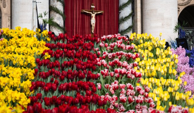 Corner Hero Image - [EN IMAGES] Un éblouissant parterre de fleurs Place Saint-Pierre
