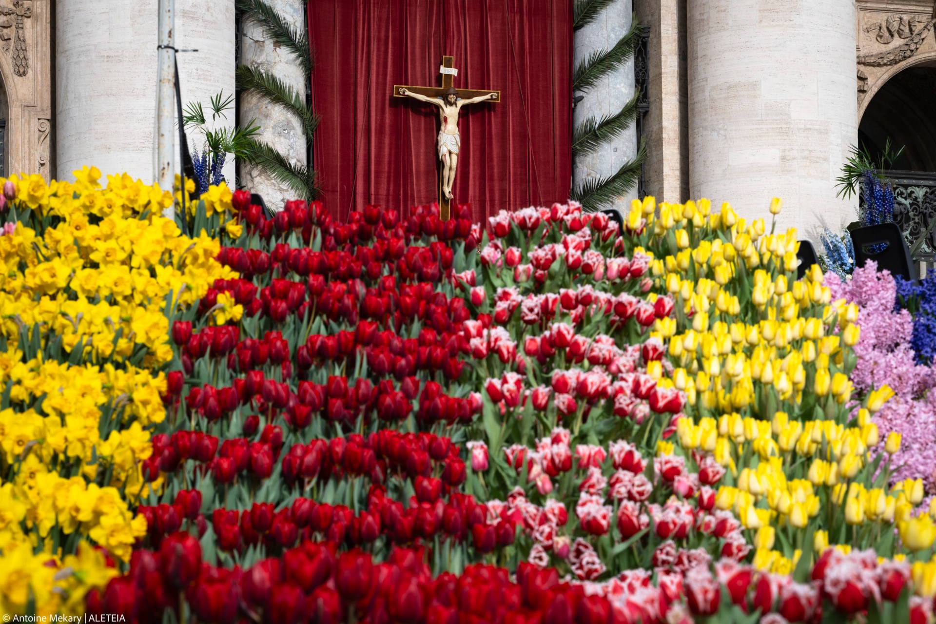Flowers in St. Peter’s Square for Holy Week