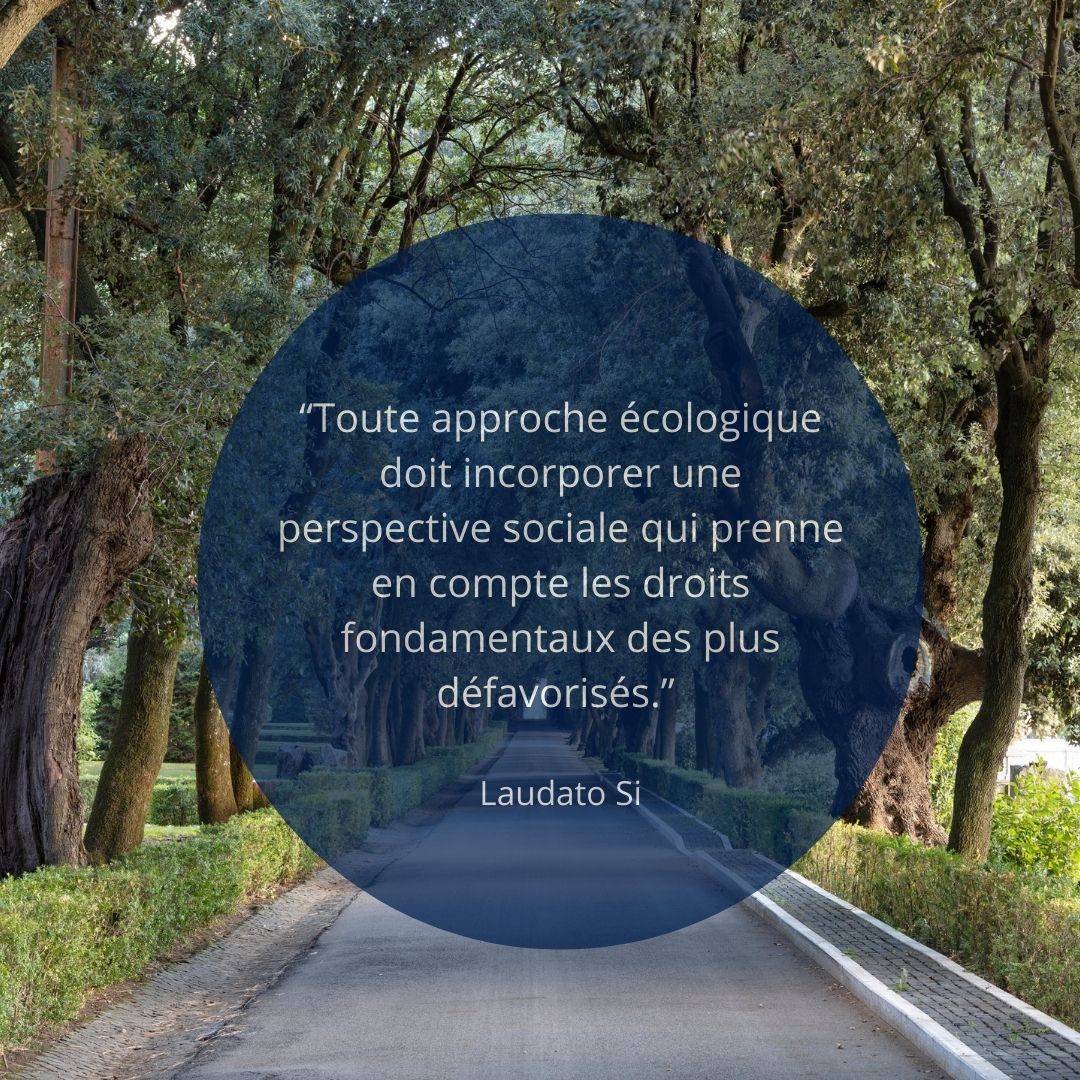 Plus belles citations du pape François
