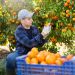 Les bienfaits des “jobs d’été”