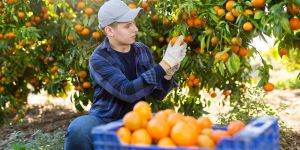 Les bienfaits des &#8220;jobs d’été&#8221;