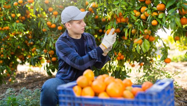 Corner Item Image - Les bienfaits des “jobs d’été”