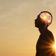 Editors choices image #0