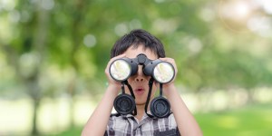 Écologie intégrale : la grâce d’y voir clair