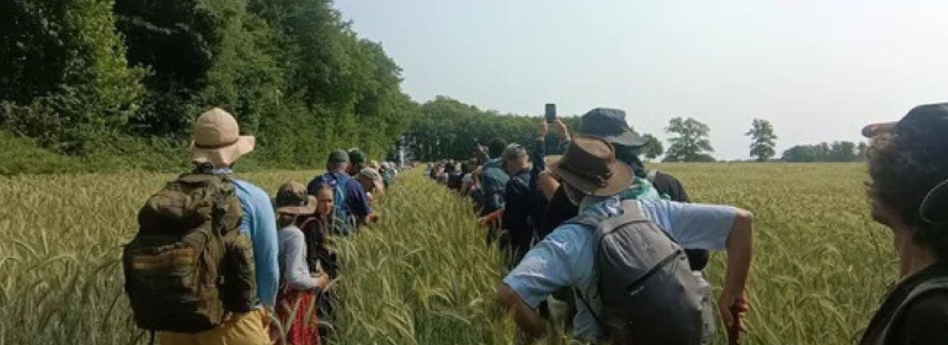 Procession-Limousin-.jpg