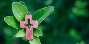 [VIDÉO] Laudato si’ fête ses dix ans !