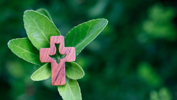Corner Item Image - [VIDÉO] Laudato si’ fête ses dix ans !