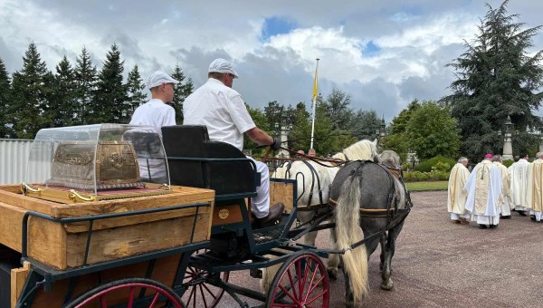Corner Item Image - Les époux Martin aussi ont droit à une calèche !