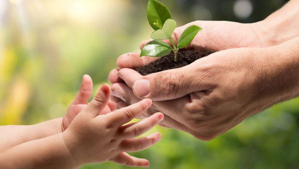 PLANTES-PRENDRE-SOIN-NATURE-SHUTTERSTOCK