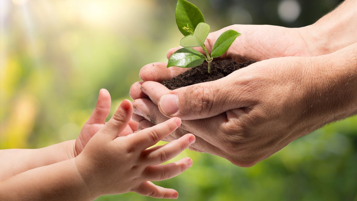PLANTES-PRENDRE-SOIN-NATURE-SHUTTERSTOCK
