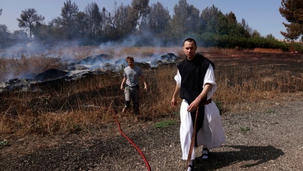 Au monastère de Latroun, des vignes replantées en signe d'"espoir"