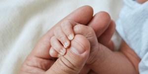 La baisse de la natalité se poursuit