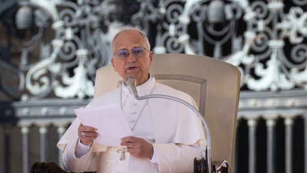 pope-leo-xiv-audience-october-08