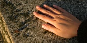 [HOMÉLIE] La mémoire de nos fidèles défunts est un trésor