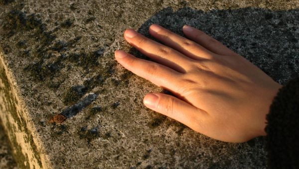 Corner Item Image - [HOMÉLIE] La mémoire de nos fidèles défunts est un trésor