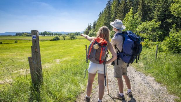 Nouveau record de pèlerins sur le chemin de Saint-Jacques-de-Compostelle