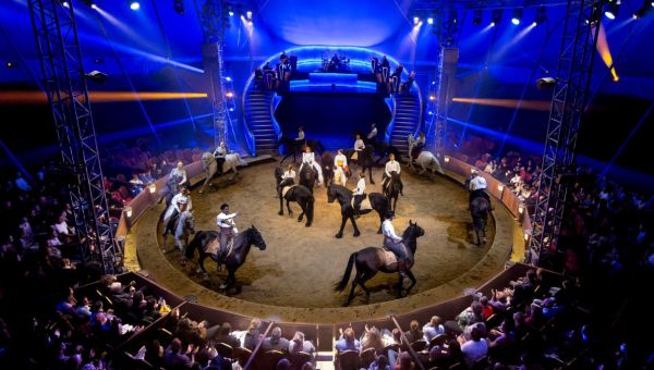 Huit spectacles inspirants à découvrir en famille à l'approche de Noël