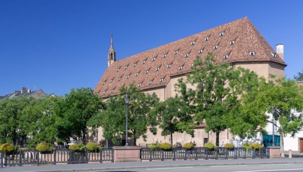 Les Pur-Sang d’Alsace, ces guides de France qui ont mis l’idéal scout au service de la Résistance