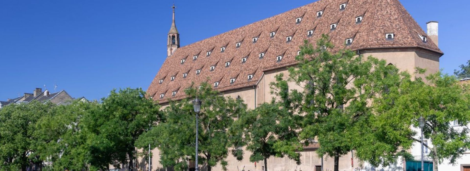 Les Pur-Sang d’Alsace, ces guides de France qui ont mis l’idéal scout au service de la Résistance