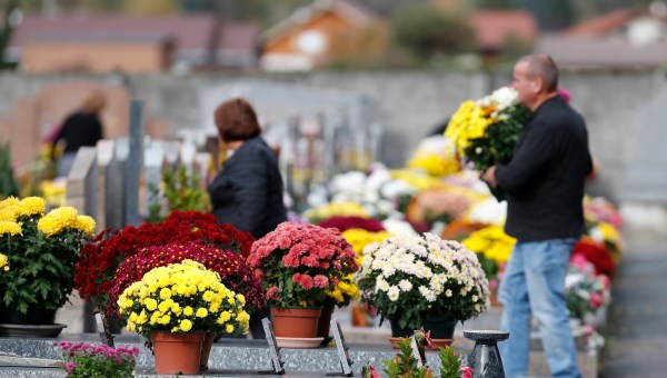 Fête des defunts, chrysanthèmes et cimetière