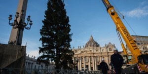 Un majestueux sapin place Saint-Pierre pour le premier Noël de Léon XIV