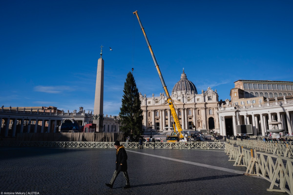 {"rendered":"Un majestueux sapin place Saint-Pierre pour le premier No\u00ebl de L\u00e9on XIV"}