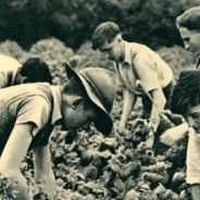 Editors choices image #3