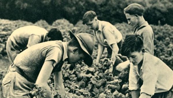 Corner Item Image - Quand les scouts britanniques nourrissaient la Nation