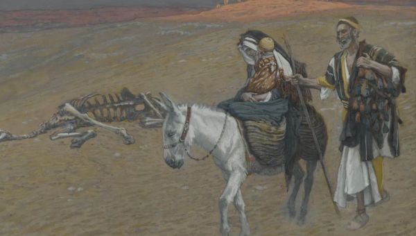 [HOMÉLIE] Célébrer la Sainte Famille, c’est regarder la vocation de l’Église