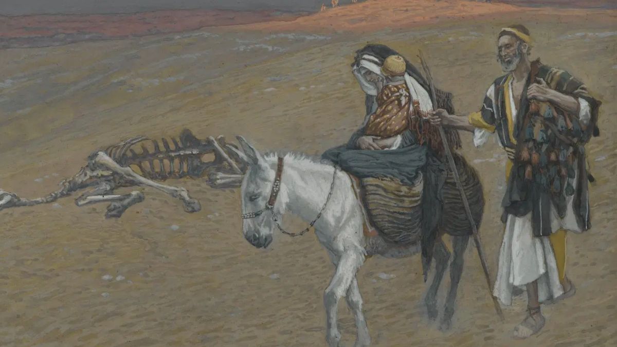 [HOMÉLIE] Célébrer la Sainte Famille, c’est regarder la vocation de l’Église