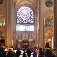 Editors choices image #5