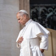 Editors choices image #6